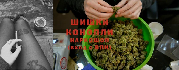 бошки Аркадак